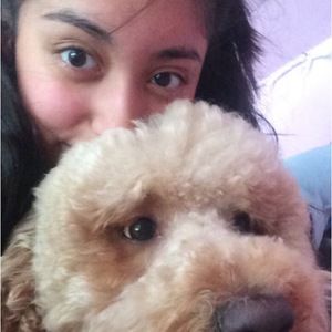 Meet your Posher, Crystal